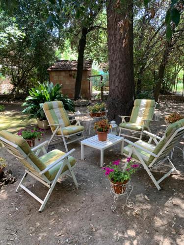 Giardino di Super attico della Brigata Spendereccia!