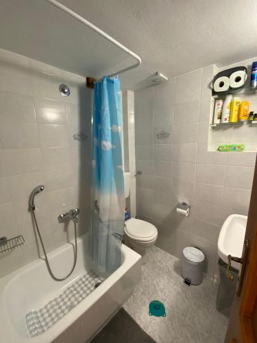 a bathroom with a shower and a toilet and a tub at On the road house in Apérathos