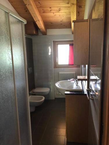 a bathroom with a sink and a toilet at Casa dell'Olivo in Castione Andevenno