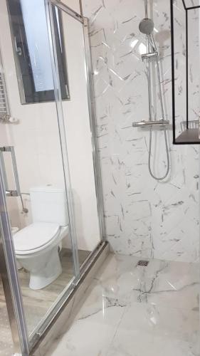 a bathroom with a toilet and a glass shower at MINI POOL ROOMS - ULTRACENTRAL - piscina cu hidromasaj in Oradea