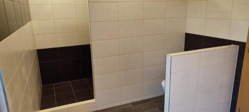 a bathroom with a shower with black and white tile at Apartmány Anna s welness in Trojanovice