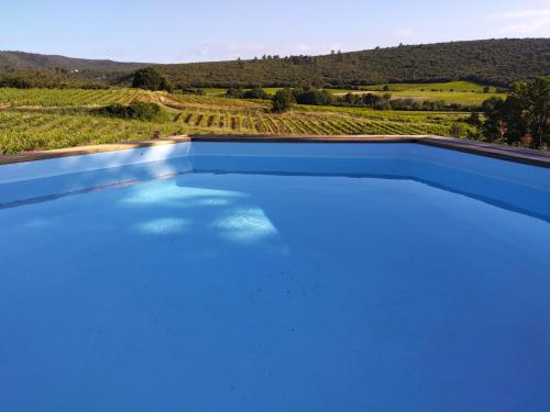 einen blauen Pool mit Blick auf einen Weinberg in der Unterkunft Villa calme et tranquillité in Seillons-Source-dʼArgens