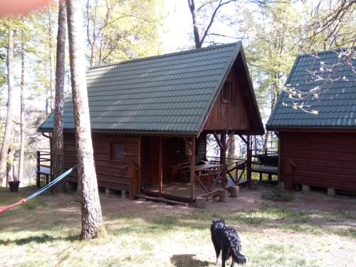 Gallery image of Zajazd Przystanek Piławki in Piławki