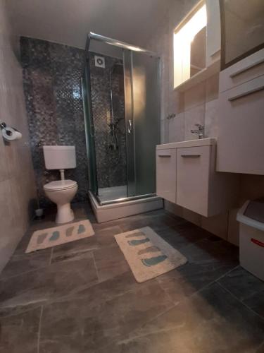 a bathroom with a shower and a toilet and a sink at Holiday house Domy Rab in Barbat na Rabu
