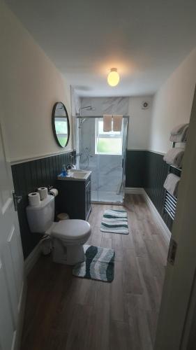 a bathroom with a toilet and a sink and a shower at Foleys Ardmullen Townhouses in Kenmare