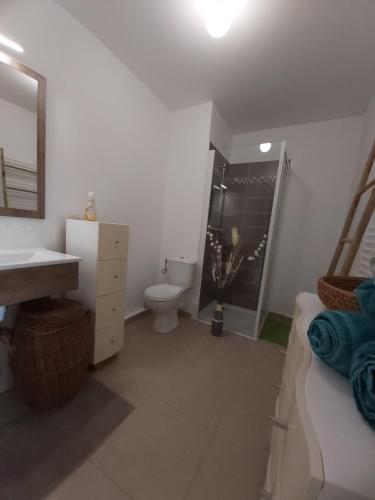 une salle de bain avec toilettes, lavabo et douche dans l'établissement sylvie, au Plan-de-la-Tour