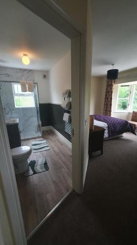 a room with a bathroom with a toilet and a bed at Foleys Ardmullen Townhouses in Kenmare