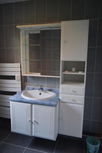 une salle de bain avec un lavabo blanc et un miroir dans l'établissement La Salamandre, à Thérouldeville