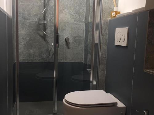 une salle de bain avec douche avec WC et cabine de douche en verre dans l'établissement Charmant Studio avec Mezzanine, Climatisé, au Cœur de Menton, Proche Plages et Commerces - FR-1-196-300, à Menton