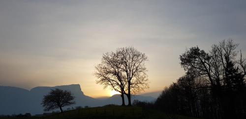 a tree on a hill with the sunset in the background at Gîte clair, spacieux et cosy avec vue sur le massif de la Chartreuse in Sainte-Hélène-du-Lac