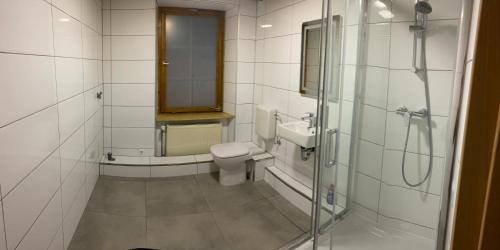 y baño con ducha, aseo y lavamanos. en Panda Royal Klettgau en Klettgau