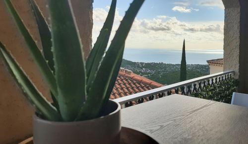 une plante en pot assise sur une table sur un balcon dans l'établissement Le Celia, à Cavalaire-sur-Mer
