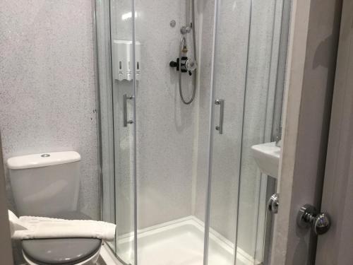 a bathroom with a shower with a toilet and a sink at THE TREVONE, Llandudno in Llandudno