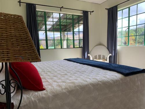 1 dormitorio con 1 cama y 2 ventanas en Brackenburn Trout and Trail Retreat, en Elandskop