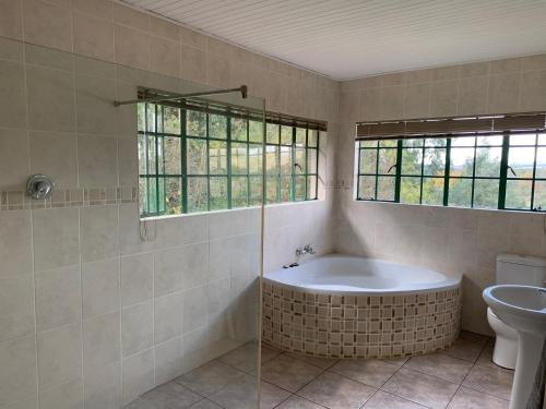 La salle de bains est pourvue d'une baignoire et de toilettes. dans l'établissement Brackenburn Trout and Trail Retreat, à Elandskop