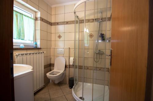 a bathroom with a shower and a toilet and a sink at Guest house Kočanija in Ilirska Bistrica
