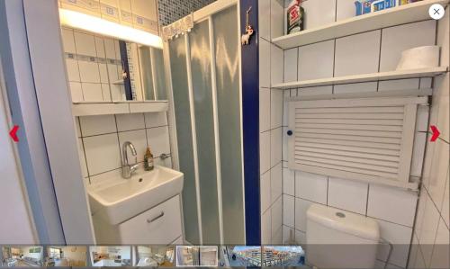 een kleine badkamer met een wastafel en een toilet bij Santhooft B , bus 514 Nieuwpoort bad in Nieuwpoort