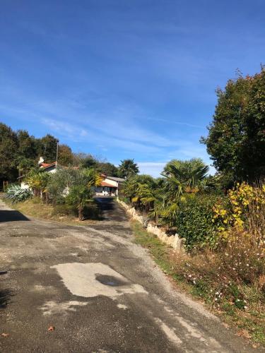 an empty road with trees and plants on the side at Chez Anidé in Cannet