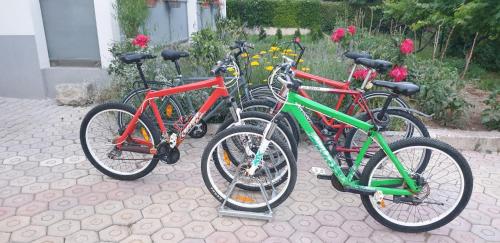 Apartman Zizula