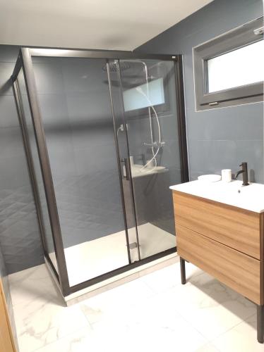 une salle de bain avec douche et lavabo dans l'établissement L'escapade.T2 ☆ Jardin ☆ Spacieux ☆ Calme, à Castanet-Tolosan