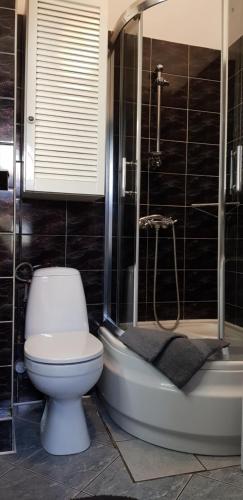 a bathroom with a toilet and a shower and a tub at Apartament Vivienda in Ustka