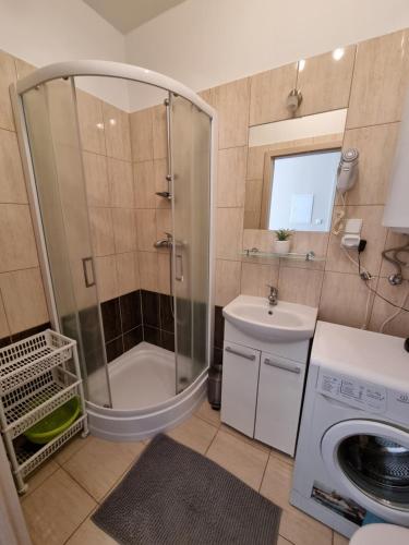 a bathroom with a shower and a sink and a washing machine at Apartament Nemo in Rowy