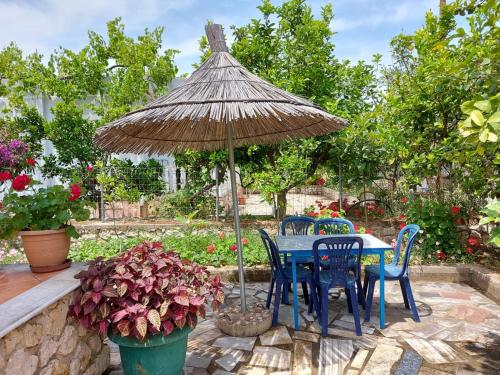 Jardí fora de Vila REXHAJ