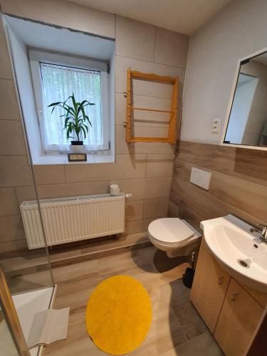a bathroom with a toilet and a sink and a window at CARPE DIEM in Ryžoviště