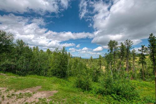 a field with trees and a blue sky with clouds at Tetro Rock Retreat in Deadwood