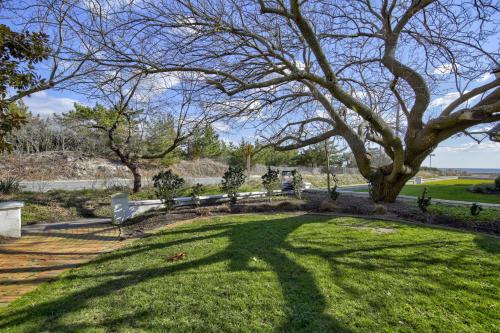 a large tree casts a shadow on the grass at Town of Rehoboth Beach 42 Surf Ave in Rehoboth Beach