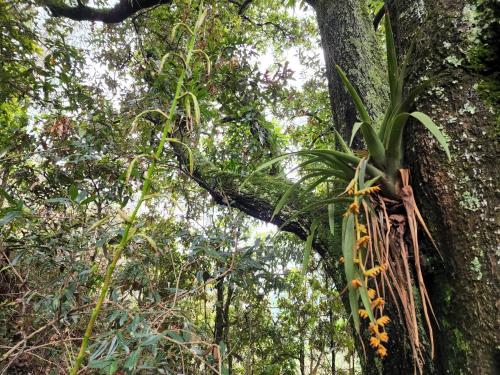 Taman di luar Tybyn Geo Lodge