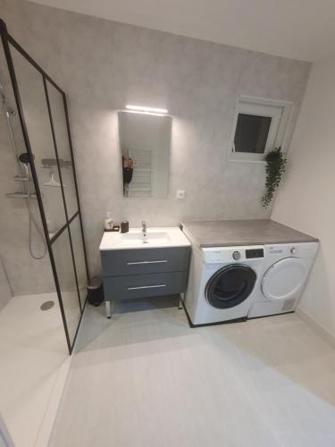 une salle de bain avec une machine à laver et un lavabo dans l'établissement Au coeur Normand Magnifique maison avec jacuzzi 25mn de la mer, à Audrieu