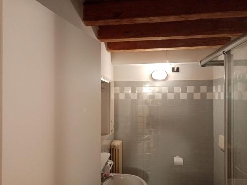 a bathroom with a shower and a sink at P&P Room Seventy-Seventh Apartment in Bergamo
