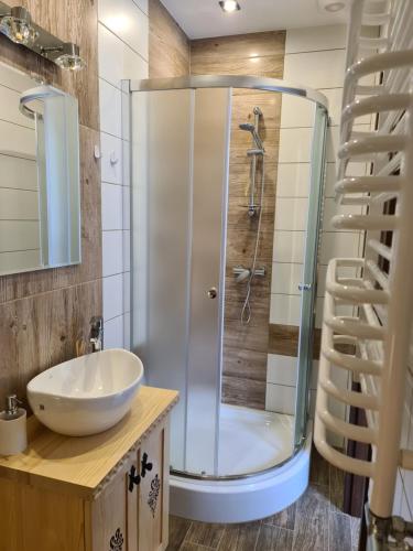 ein Bad mit einer Dusche und einem Waschbecken in der Unterkunft Apartamenty w cichej okolicy in Bańska Wyżna