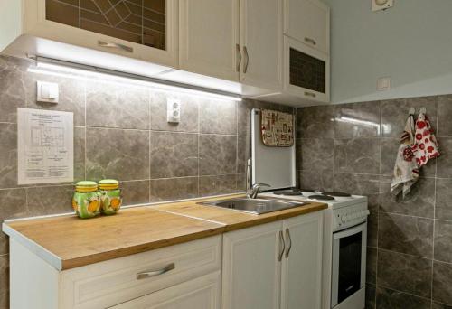 a small kitchen with a sink and a stove at Dživdžan in Vrnjačka Banja