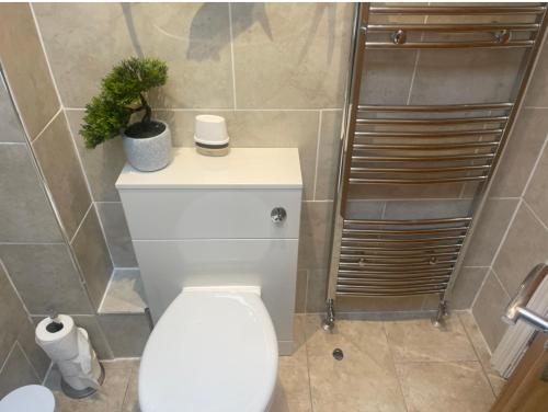 a bathroom with a toilet with a plant on top of it at THE CARRIAGE HOUSE in Woodhorn