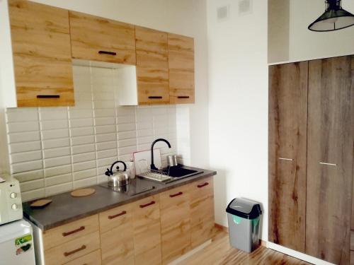 a kitchen with wooden cabinets and a sink at Apartament Janka in Zator