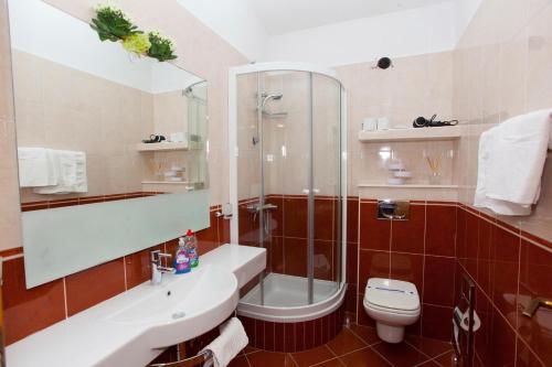 a bathroom with a shower and a toilet and a sink at Villa Alesa in Tučepi