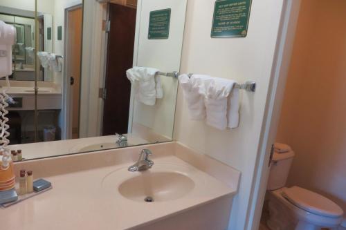 Ένα μπάνιο στο Hawthorn Extended Stay by Wyndham Seville