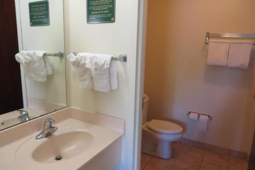 Ένα μπάνιο στο Hawthorn Extended Stay by Wyndham Seville