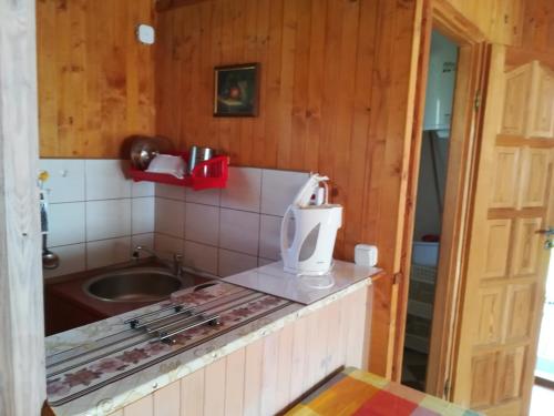 a kitchen with a sink and a counter top at 2 Bursztyny in Rusinowo