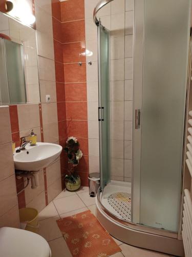 a bathroom with a shower and a sink at Slnečné apartmány in Podhájska
