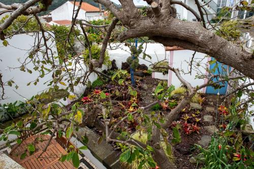 Taman di luar Casadangra, bnb