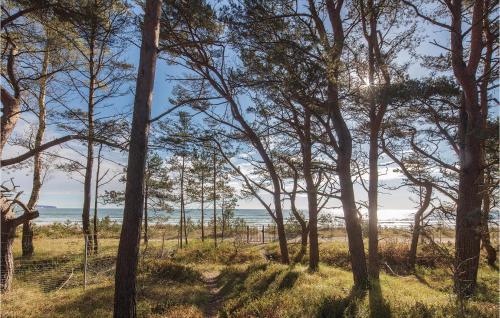 a forest of trees with the ocean in the background at Baltic in Binz