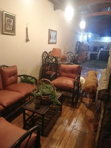 a dog is standing in a living room at FAKALI Homestay in Quito