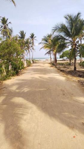 a dirt road with palm trees on the beach at LA GAITERA Cabaña in Moñitos