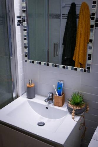 La salle de bains est pourvue d'un lavabo, d'une douche et d'un miroir. dans l'établissement Appartement de 50m2 à 2 pas du port et plage!, à La Grande Motte