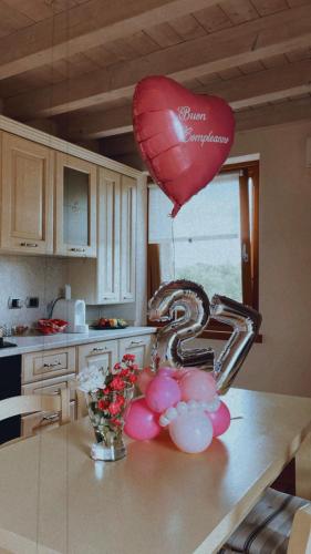 Cuisine ou kitchenette dans l'établissement Holiday Home Sovenigo