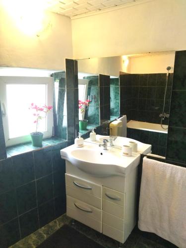 a bathroom with a sink and a mirror at Casa din colțul Cetății in Hărman