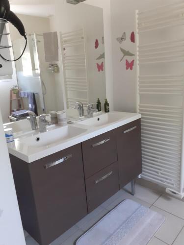 a bathroom with a sink and a mirror at La salamandre, Chambre d'hôtes in Étaules